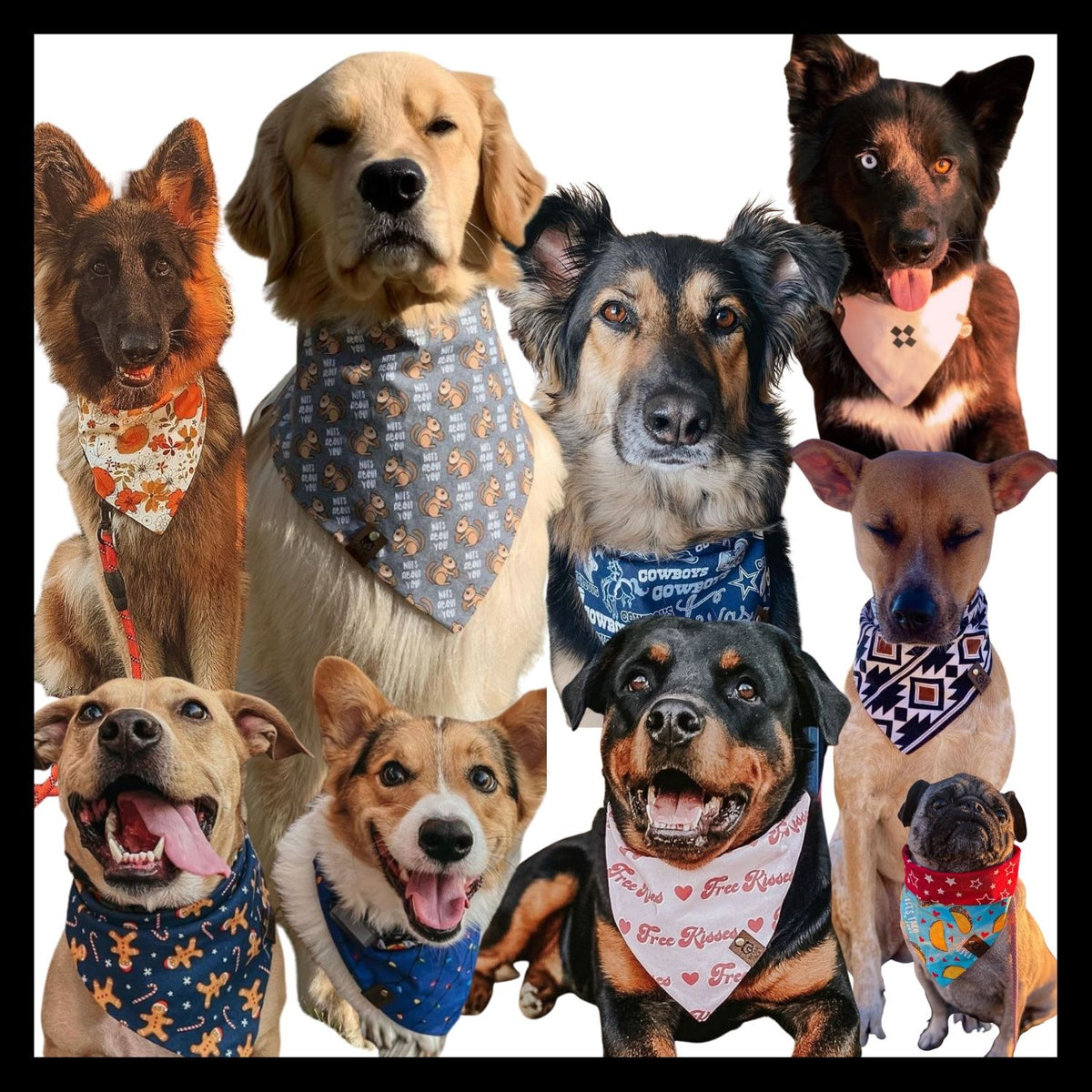 Dallas Cowboys Dog Bandana – Bexar Pack Supply Co.